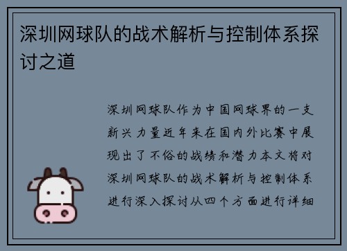 深圳网球队的战术解析与控制体系探讨之道